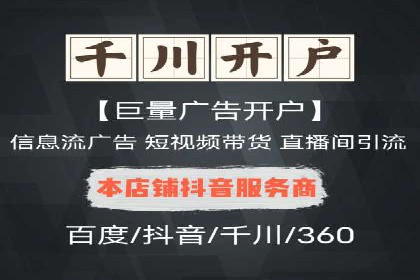 竞价广告的投放技巧及网络推广效果评估
